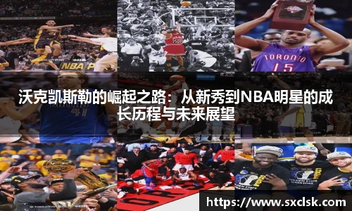 星空·综合体育中国官网